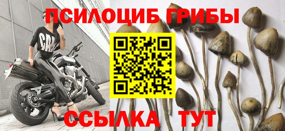 Галлюциногенные грибы мухоморы  Вход с VPN  Галлюциногенные грибы MAGIC MUSHROOMS  Сланцы 