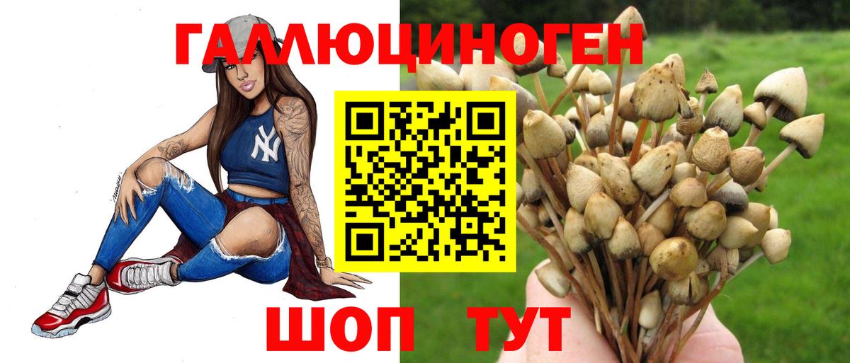 Галлюциногенные грибы GOLDEN TEACHER Сланцы